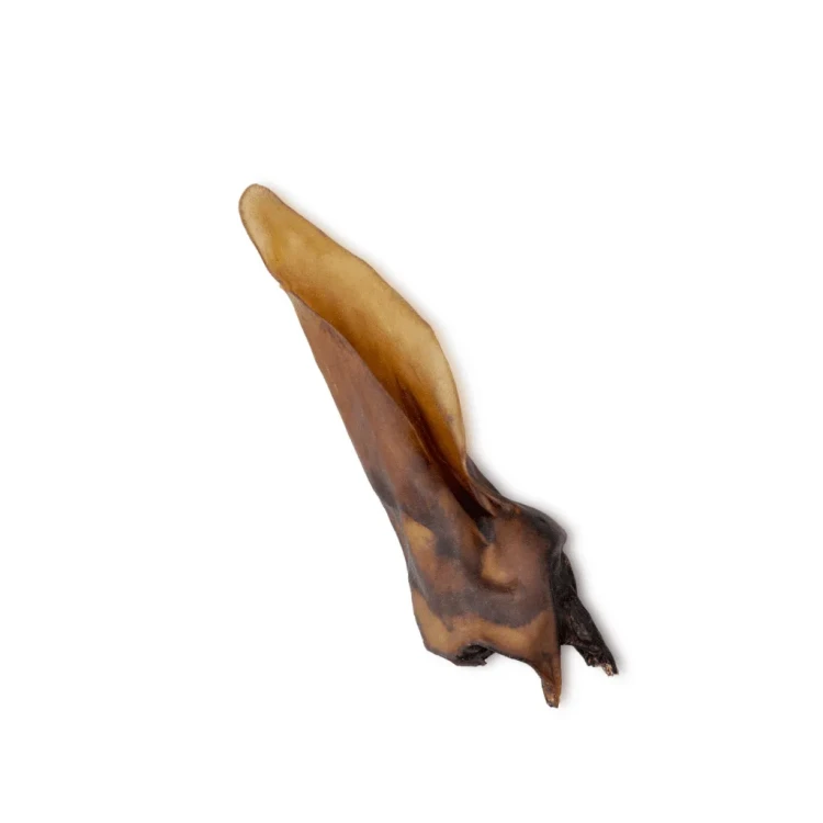 Naturalne Ucho Sarny Uniszki – idealne dla psów z alergiami i na diecie. Hipoalergiczny, chudy gryzak bogaty w kolagen. Wspiera stawy, kości i piękną sierść. Bez sztucznych dodatków, 100% natury!1