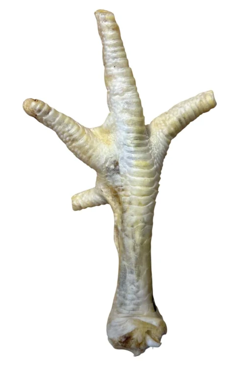 Abakus Kurza Łapka Biała naturalny gryzak dla psa 1 sztuka