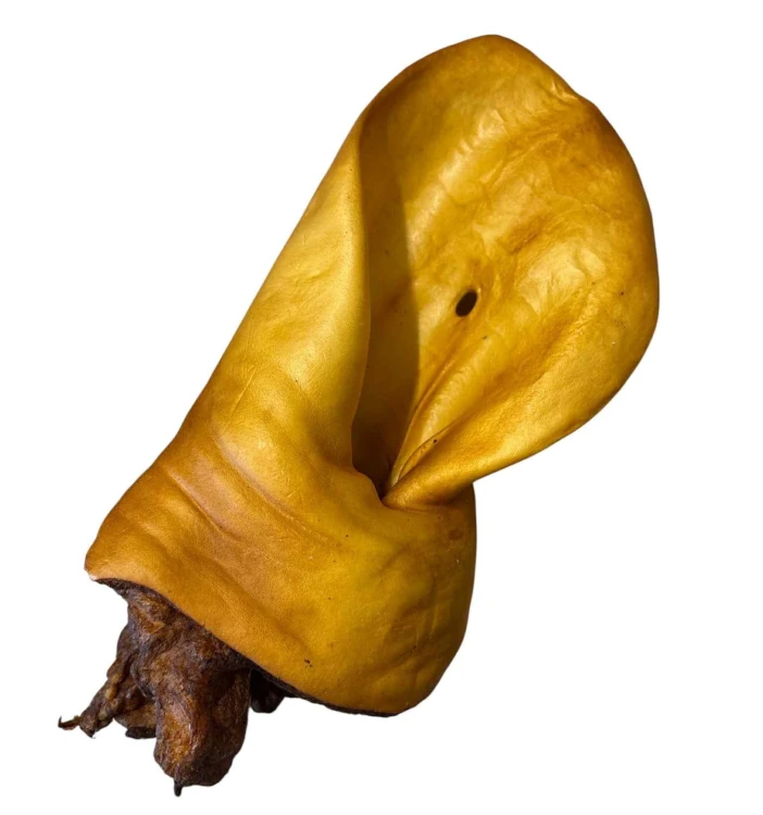 Abakus Ucho Wołowe Wędzone naturalny gryzak dla psa 1 sztuka