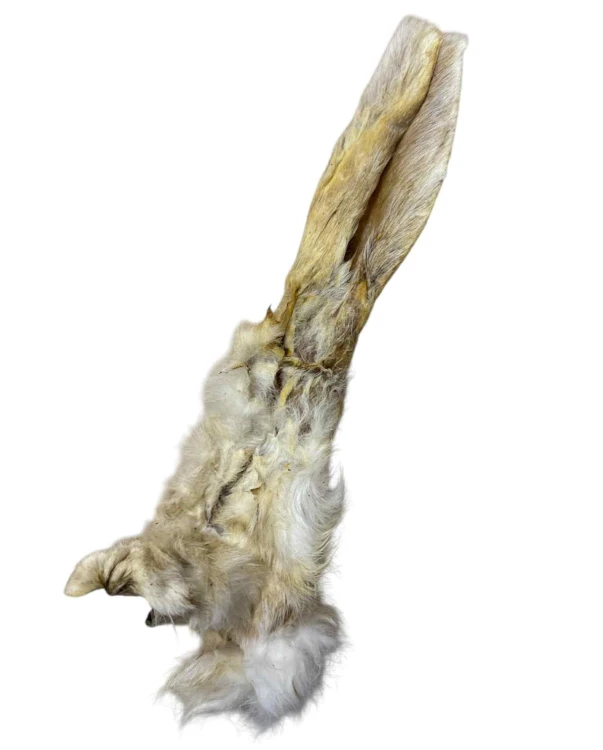 Abakus Ucho Królicze z Futrem naturalny gryzak dla psa 1 sztuka