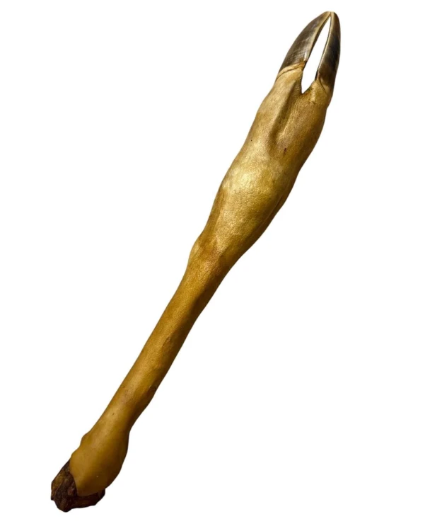 Abakus Racica Sarny Wędzona naturalny gryzak dla psa 1 sztuka