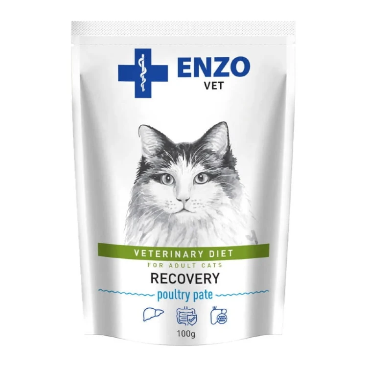 enzo vet recovery mokra karma dla kotów w okresie rekonwalescencji 100g