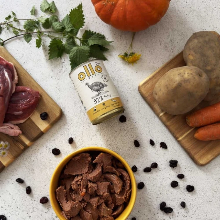 Ollo Pure Indyk – karma mokra z indykiem dla psa, składniki naturalne