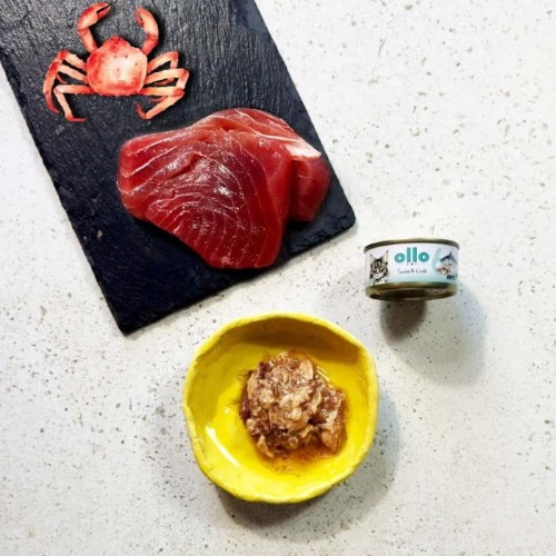 Mokra karma Ollo Cat nr 6 z tuńczykiem – porcja w miseczce