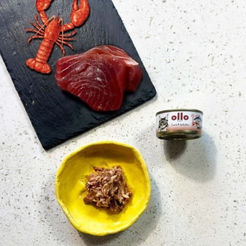 Mokra karma Ollo Cat nr 11 z tuńczykiem i homarem – porcja w miseczce