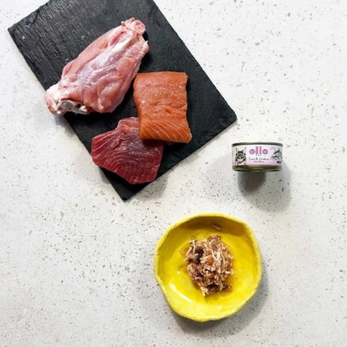 Mokra karma Ollo Cat nr 2 z tuńczykiem i łososiem – porcja w miseczce