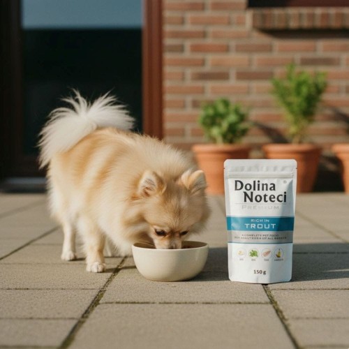 Biały pies przy miseczce z karmą Dolina Noteci Trout – naturalna mokra karma dla psów