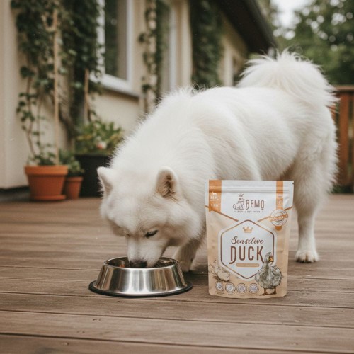 Pies o białej sierści przy misce z karmą Bemo Sensitive Duck, opakowanie widoczne obok