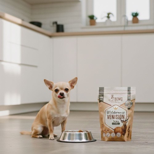 Mały pies pochylony nad miską z karmą Bemo Wilderness Venison, opakowanie widoczne obok.jpg