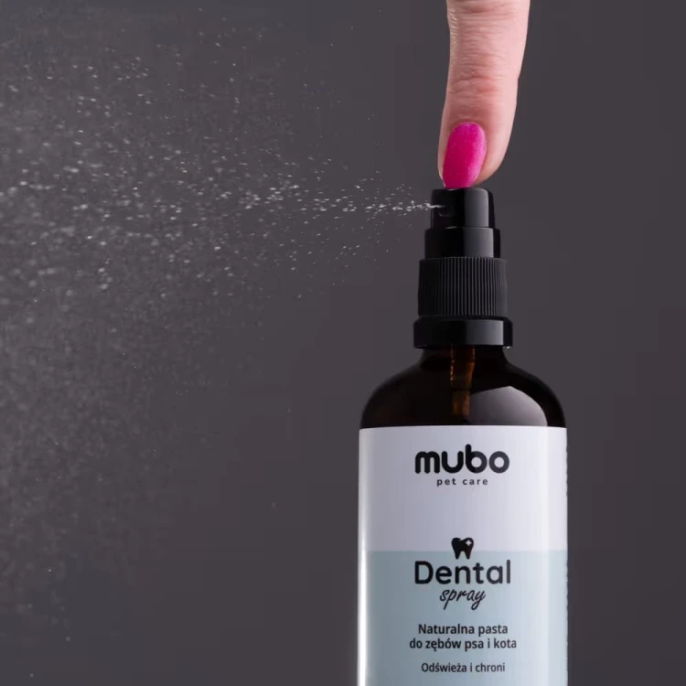 Mubo Dental Spray 100 ml – aplikacja produktu podczas rozpylania