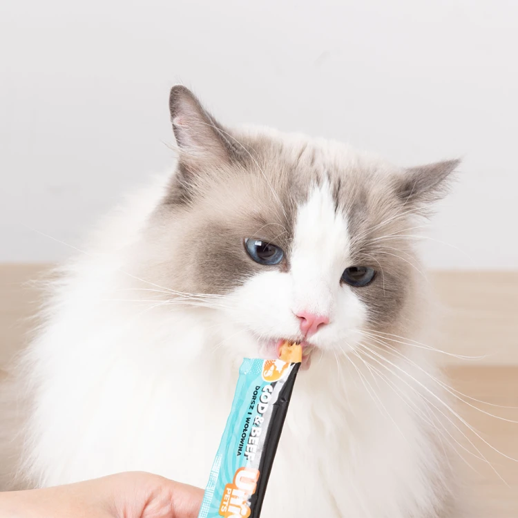 Kot jedzący kremową przekąskę UNIQ PETS PurrCream z tubki