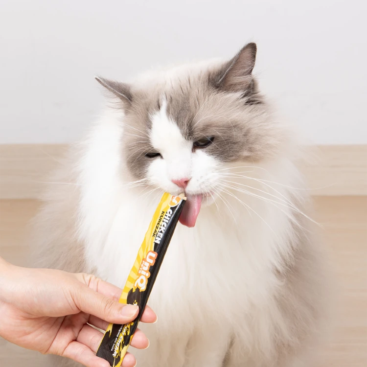 Kot jedzący kremową przekąskę UNIQ PETS PurrCream z tubki