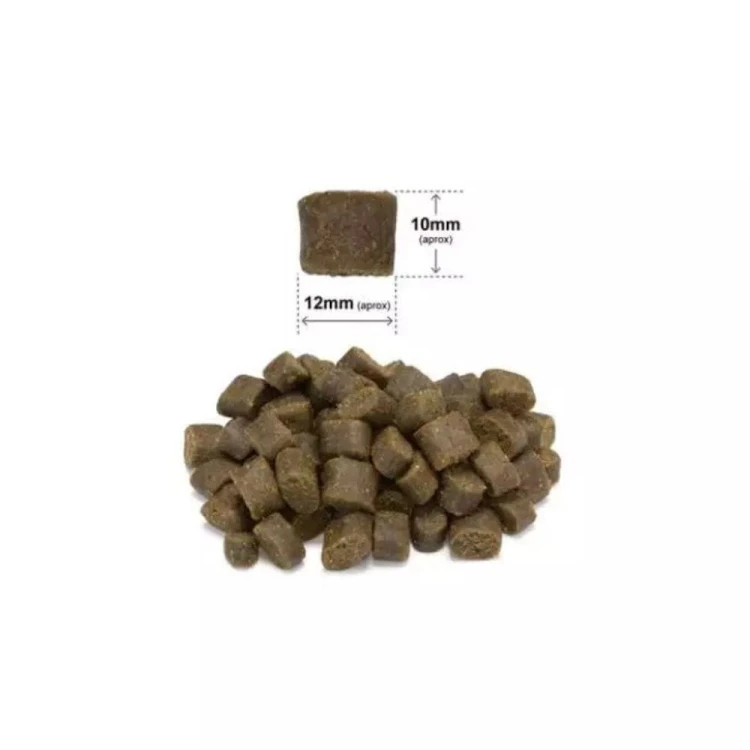 Granulat karmy Arquivet Fresh Ocean Fish półwilgotna forma