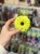 IMG_6528.jpeg