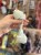 IMG_6587.jpeg