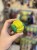 IMG_6620.jpeg