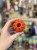 IMG_6631.jpeg