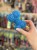 IMG_6825.jpeg