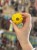 IMG_6834.jpeg