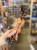IMG_6704.jpeg