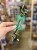 IMG_6702.jpeg
