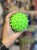 IMG_6849.jpeg
