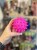 IMG_6850.jpeg