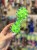 IMG_6855.jpeg