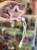 IMG_6865.jpeg