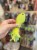 IMG_7101.jpeg
