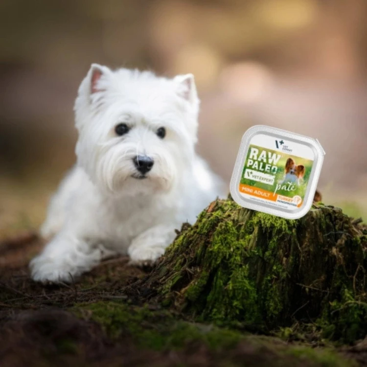 Vet Expert Raw Paleo Pate Mini Adult mokra karma dla psa małych ras - produkt na zdjęciu z psem małej rasy