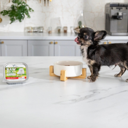 Vet Expert Raw Paleo Pate Mini Puppy wołowina 150 g obok miski i małego psa