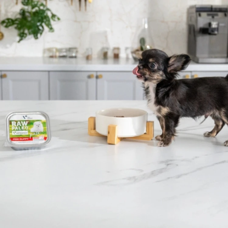Vet Expert Raw Paleo Pate Mini Puppy wołowina 150 g obok miski i małego psa