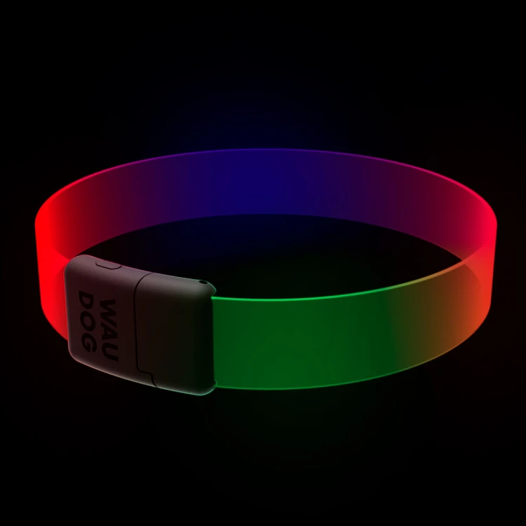 WAUDOG obroża LED dla psa tryb RGB