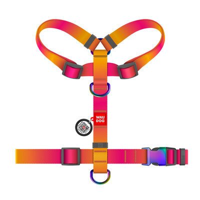 WAUDOG Nylon Recycled szelki dla psa anatomiczne pomarańczowe gradient rozmiar L – widok z góry