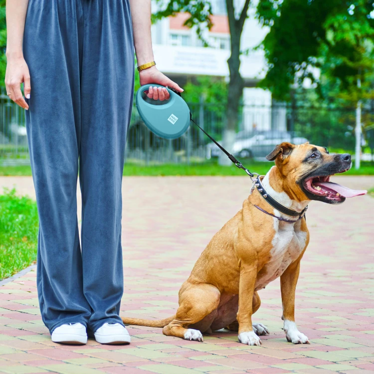 WAUDOG R-leash niebieska smycz automatyczna używana podczas spaceru z psem