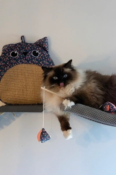 Kot bawiący się wędką ZOLUX ETHICAT z piramidką Kwiaty 40 cm