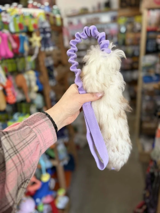 Psarvard szarpak dla psa Tika Amortyzator fioletowy z futrem owczym