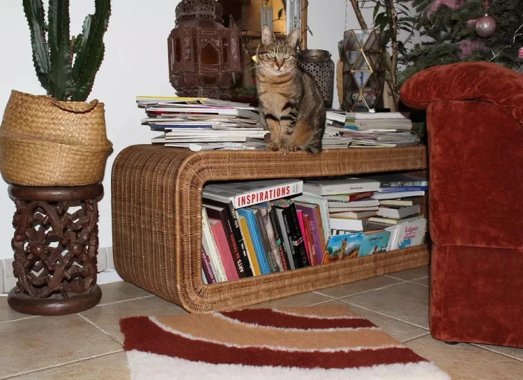 ZOLUX Dry Bed posłanie izolujące dla psa i kota wzór tęczy 50 x 60 cm na podłodze obok kota