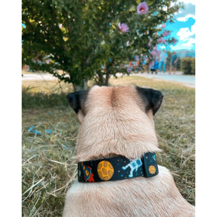 Pies w obroży WAUDOG Nylon we wzór NASA
