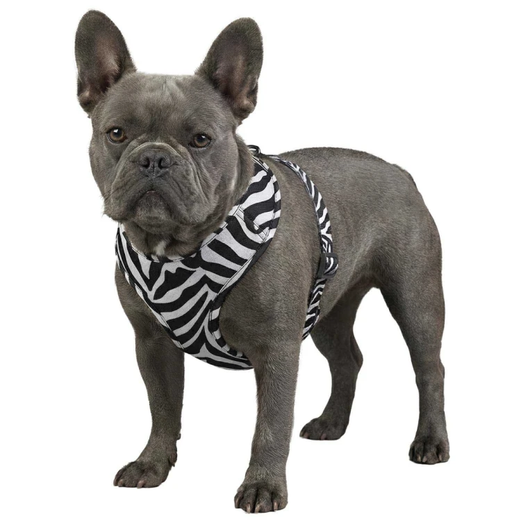 Pies w szelkach WAUDOG Mesh wzór Zebra