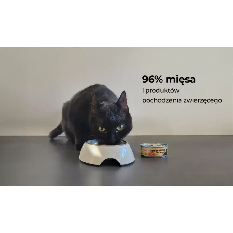 Kot jedzący z miski obok puszki Comfy Appetit Premium Mousse z indykiem 85 g