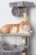 Kot na platformie pod tunelem drapaka Mr. Pretzel Ocelot