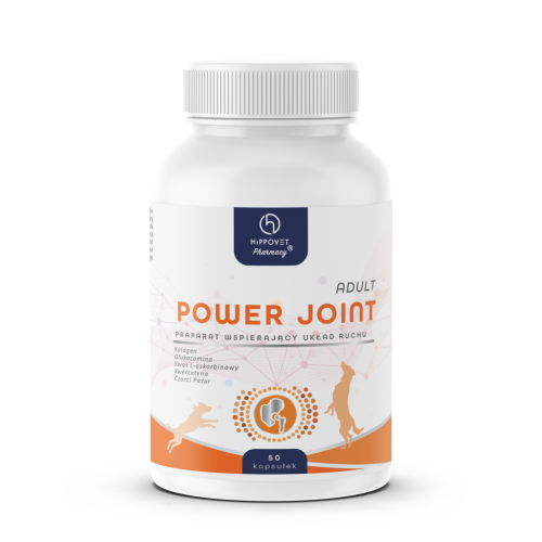 Hippovet Pharmacy Power Joint Adult 50 kapsułek – opakowanie suplementu dla psów