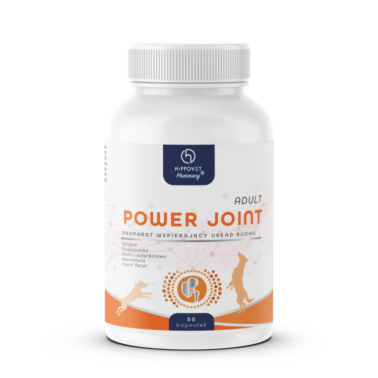Hippovet Pharmacy Power Joint Adult 50 kapsułek – opakowanie suplementu dla psów