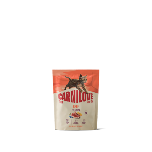 Carnilove True Fresh Beef for Kittens 400 g – przód opakowania suchej karmy z wołowiną dla kociąt, z grafiką kota