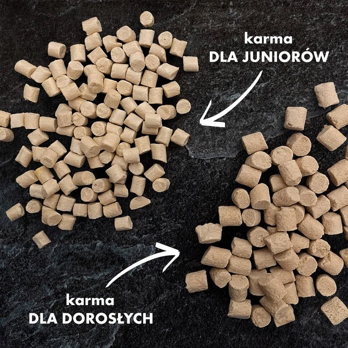 Porównanie wielkości granulek karmy Dr Malou dla szczeniąt i psów dorosłych