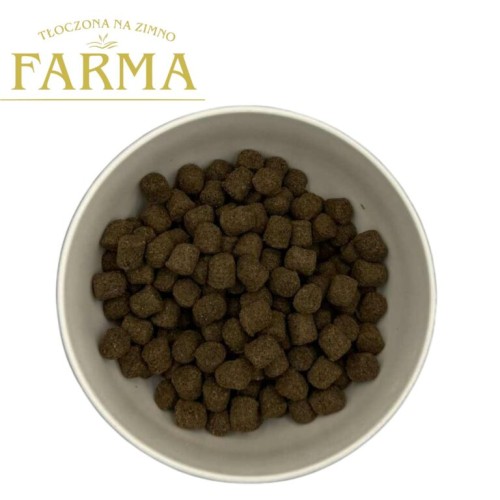 Farma Jagnięcina – brązowe granulki suchej karmy dla psa w jasnej misce, widok z góry