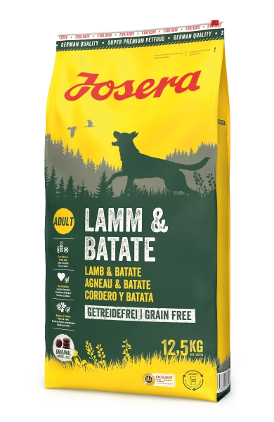 lamm.webp